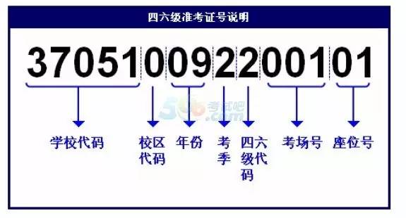 4949澳门最快开奖结果,可靠性方案操作_6DM21.995