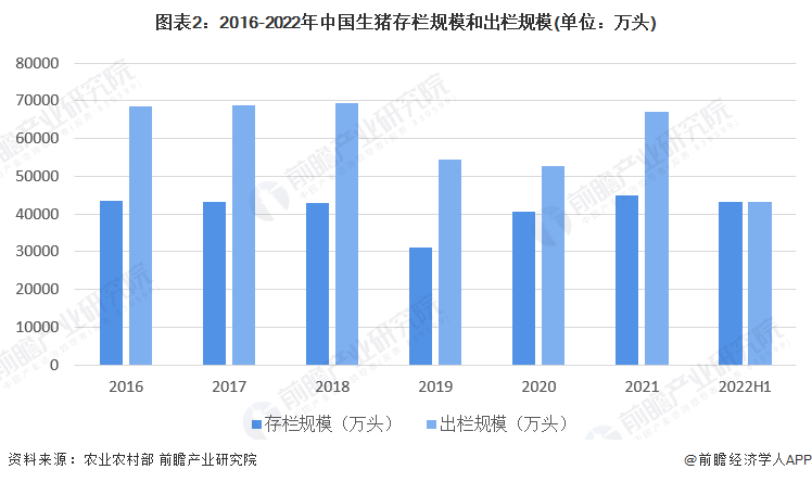 澳门正版精准免费大全,多元化策略执行_set13.702