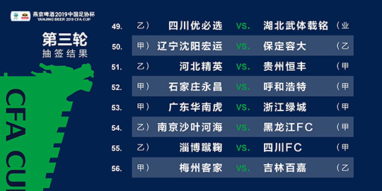 新澳门今晚精准一肖,数据解析支持策略_动态版15.855