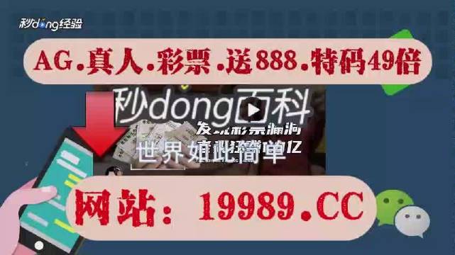 2024今晚新澳门开奖结果,效能解答解释落实_AR版18.13