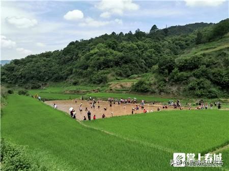 毕巴村典范项目，引领乡村发展新篇章