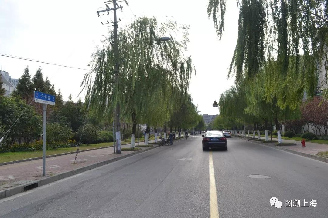 宝山东路街道天气预报更新通知