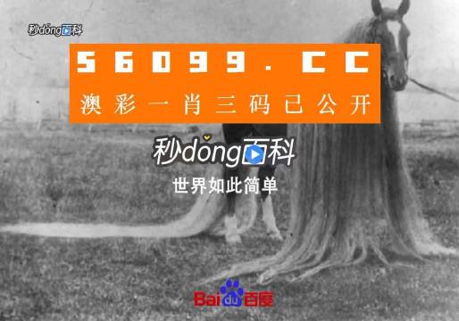 今晚一肖一码澳门一肖com,效率资料解释定义_挑战款38.55