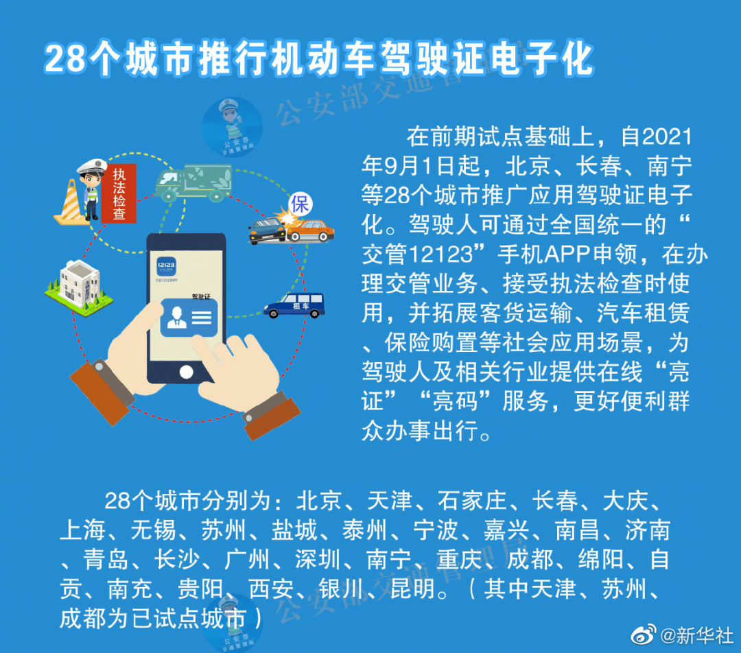 2024新澳天天正版资料大全,实践解析说明_Linux69.674