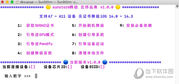 水果奶奶澳门三肖三码,迅速执行解答计划_MP32.422