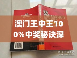 澳门王中王100%期期中,精细化策略落实探讨_纪念版53.295