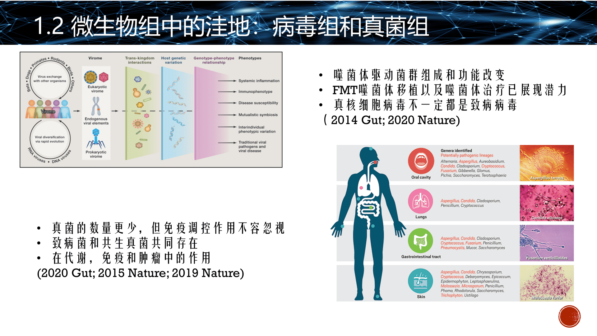 澳门一码一肖一特一中全年,前沿研究解析_桌面版38.262