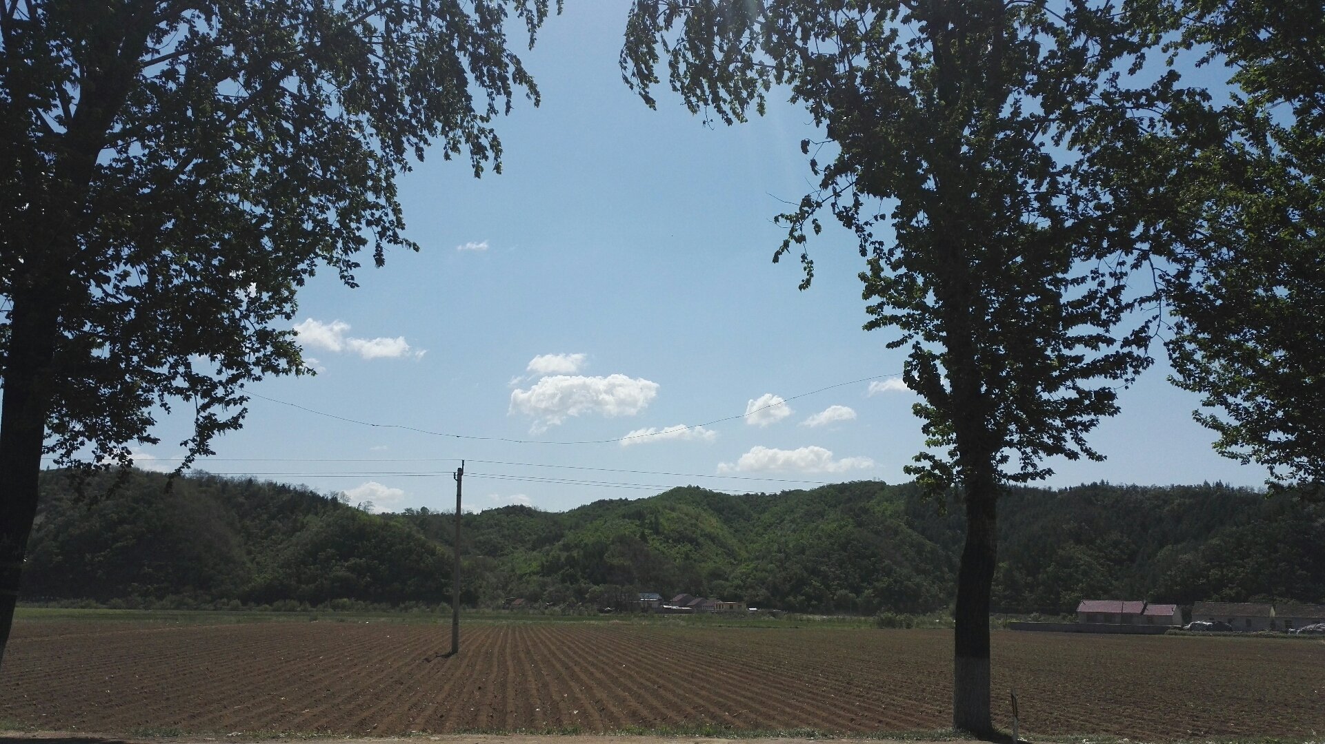 石河满族镇天气预报更新通知