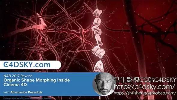 刘伯温四码八肖八码凤凰视频,科学评估解析_开发版57.515