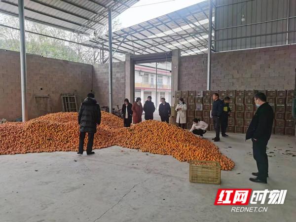 汪家桥街道重塑城市面貌，社区发展新引擎启动项目