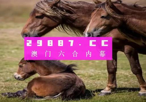 大三巴最准的一肖一码,深度解答解释定义_体验版92.139