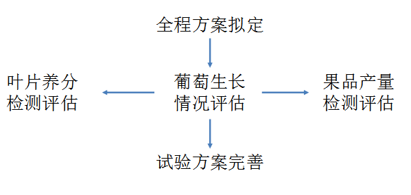 水果奶奶澳门三肖三码,可行性方案评估_Surface72.652