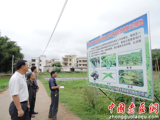 封开县农业农村局最新发展规划概览