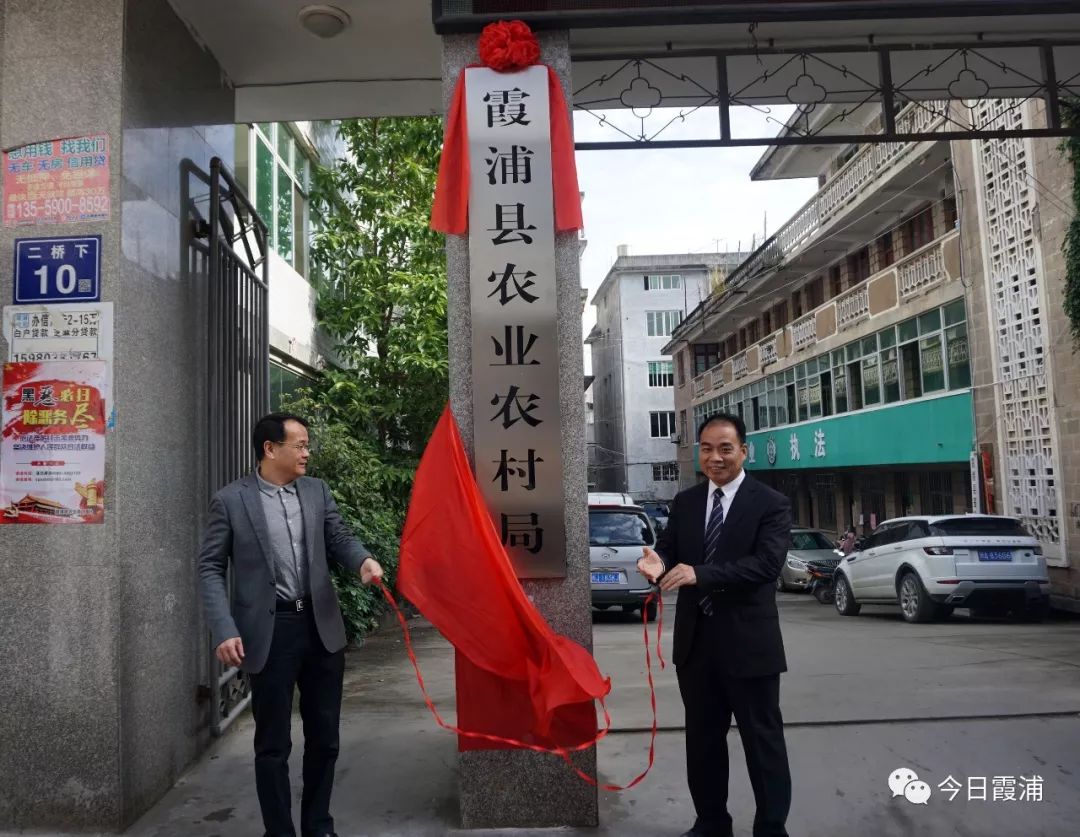 永兴县发展和改革局最新项目概览概览发布