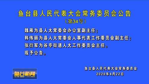 鱼台县发展和改革局人事任命动态深度解析