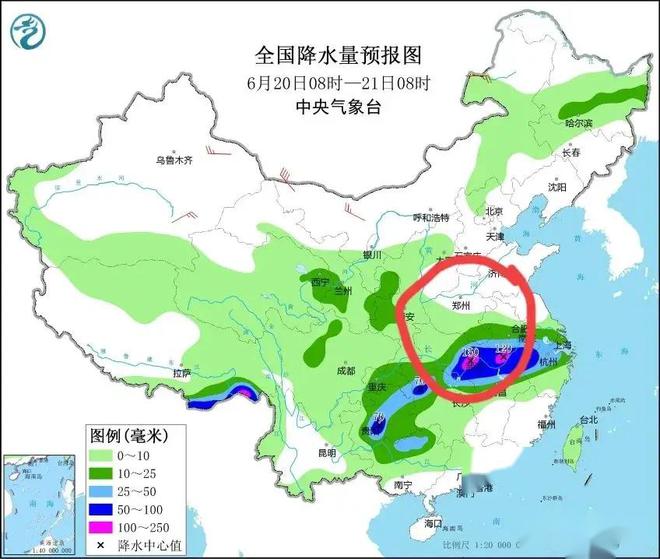 桃北街道天气预报最新详解