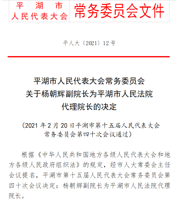 雷音村人事大调整，塑造新面貌，引领未来乡村发展之路