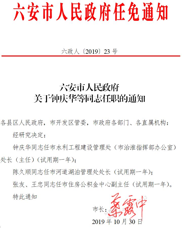 岗多居委会人事大调整，重塑社区领导力量新篇章