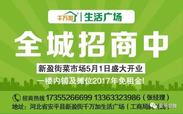 始兴县人力资源和社会保障局招聘新信息概览