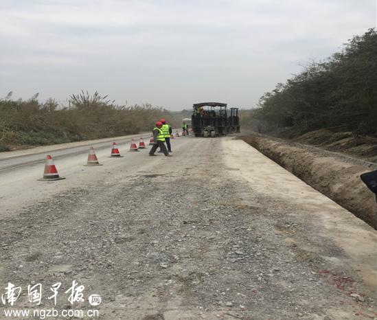 扶绥县公路运输管理事业单位招聘启事概览