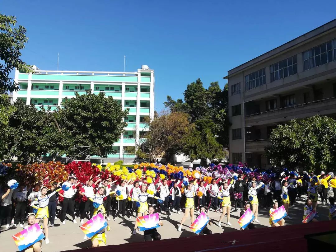 个旧市小学最新招聘启事概览