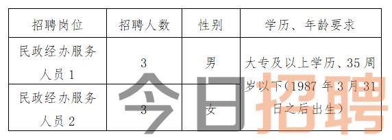 渭滨区民政局最新招聘信息深度解读