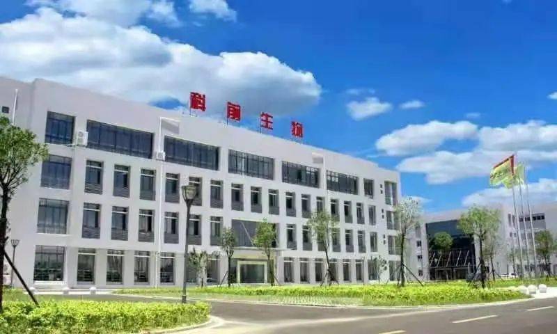 永安市康复事业单位新项目，重塑生活品质，社区康复助力站