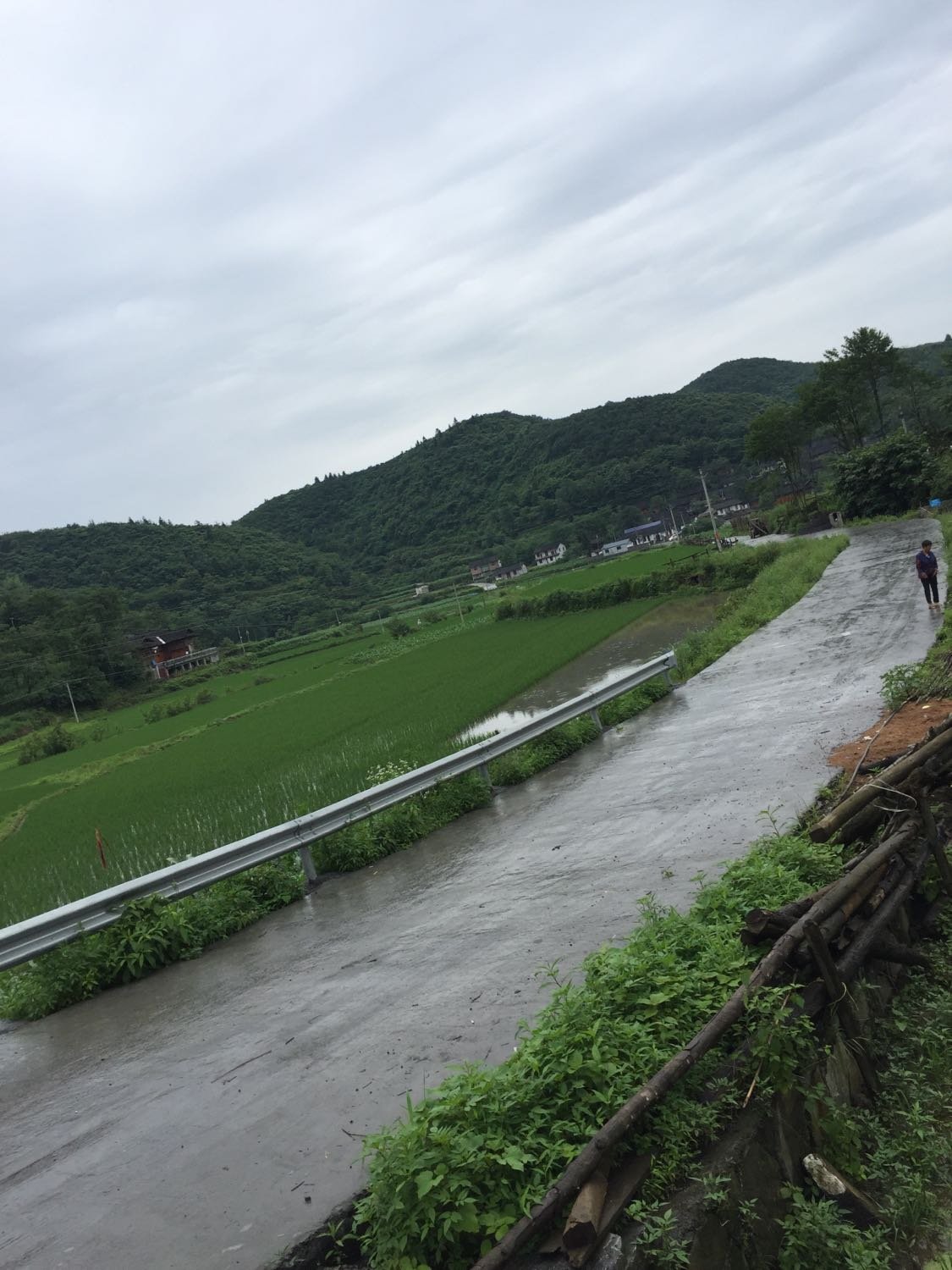 四铺乡天气预报更新通知