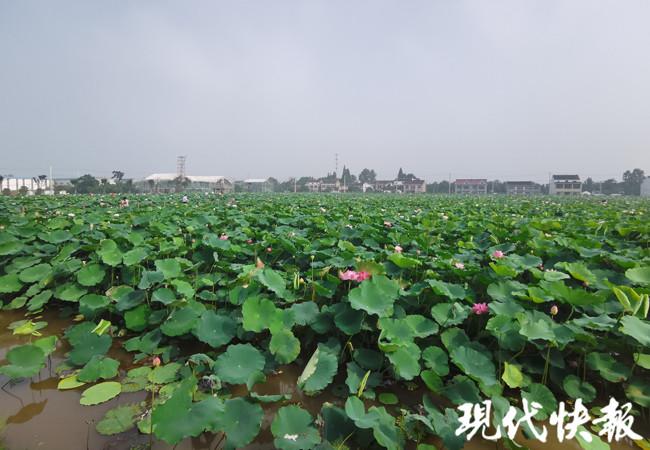 生祠镇交通建设蓬勃发展，助力地方经济腾飞新动态