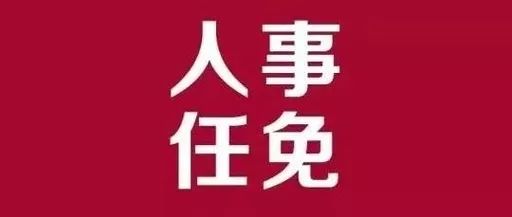 威远县教育局人事调整重塑教育格局，引领未来发展方向的决策公布