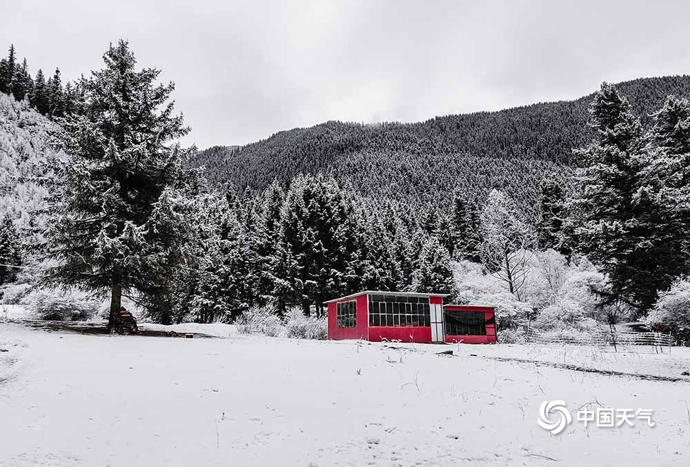 朗玛雪村最新天气预报，气象变化对当地的影响与应对