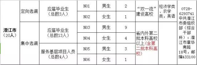 弋江区初中最新招聘信息，洞悉与影响分析