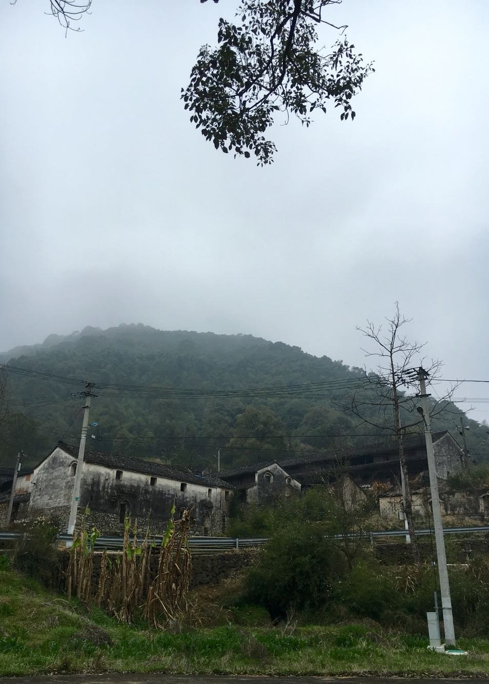 雅畈镇天气预报更新通知