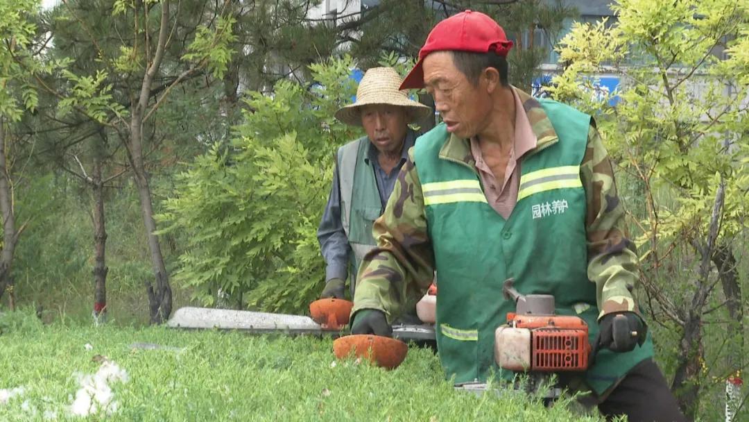 朔州市园林管理局最新动态报道