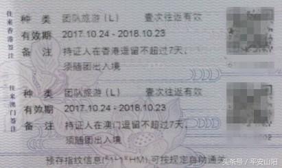 山阳区成人教育事业单位最新项目，探索与实践的启示