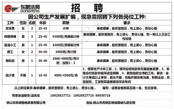 天星最新招聘信息全面解析