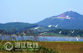 索溪峪土家族乡招聘热潮与就业市场深度解析